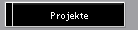 Projekte